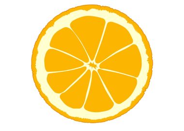 Orange Slice