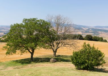 Countryside in Tuscany