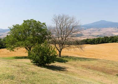 Countryside in Tuscany