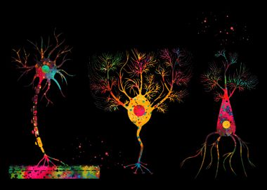 Multipolar Neuron 