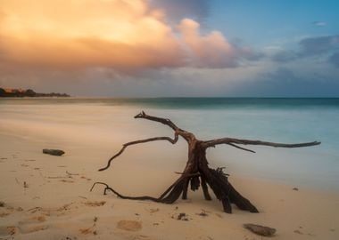 Sunset at the beach