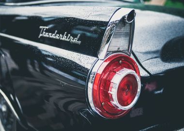 thunderbird