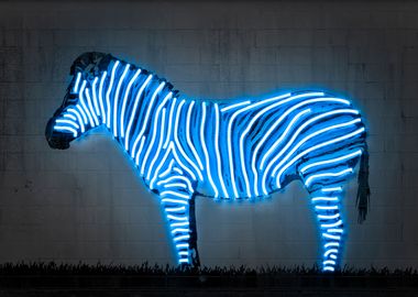 Zebra