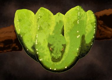 Green Boa