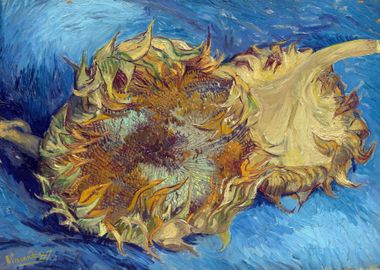 Van Gogh Sunflowers