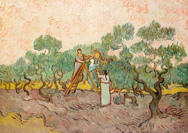 Women Picking Olives