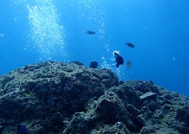 Diving in Thailand