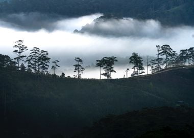 cloud mountain