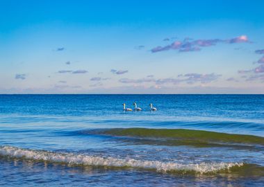 sea blue cloud