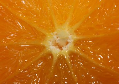 Orange fruit macro prints