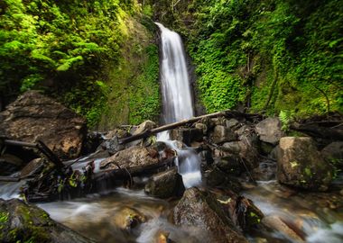 water fall green