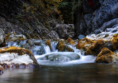 body water near