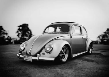 Air Cooled volks Beetle