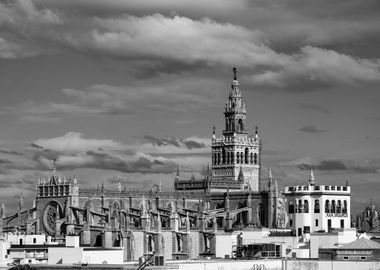 The Seville Cathedral