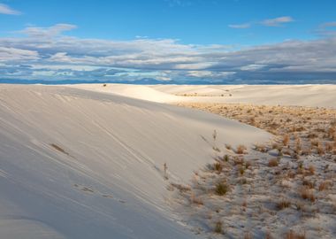 White Sand Morning