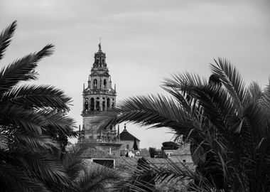 Cathedral of Cordoba