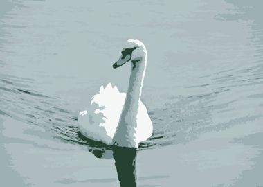 Swan