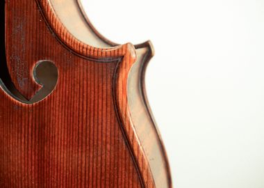 Violin detail