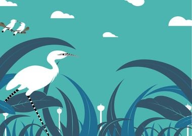 Heron illustration