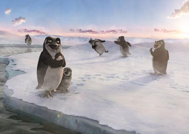 Pinguins 1