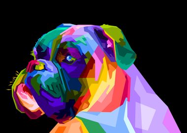 colorful boxer dog