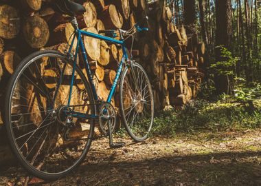 wood bicycle