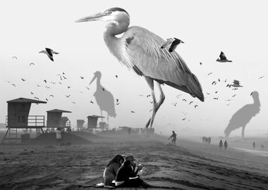 Giant Storks at the Beach