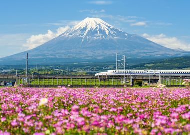 Shinkansen or bullet train