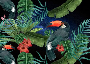 Tropical Space Toucan