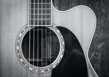 greyscale guitar