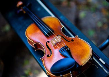 violin