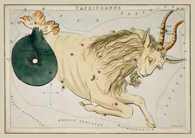 Capricornus