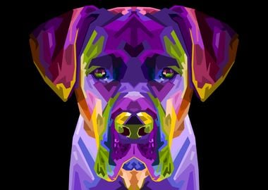 colorful cane corso dog