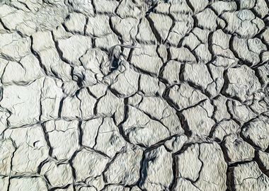 Parched land of a marsh