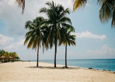 Palm Beach Ocean Mexico