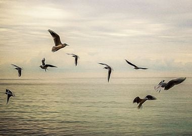 Seagulls flying on a beach