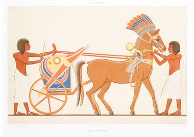 Princely chariot