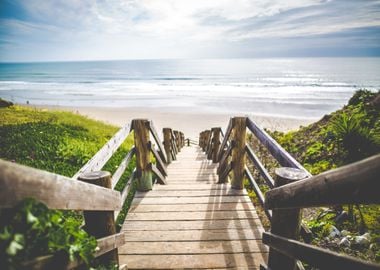 Woody Stairs to the Beach