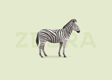 Zebra Isometric animal