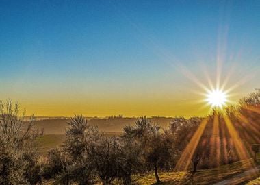 Hills of Montferrat