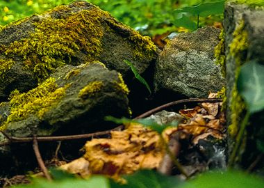 Formed Rocks