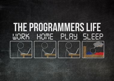 Programmers Life