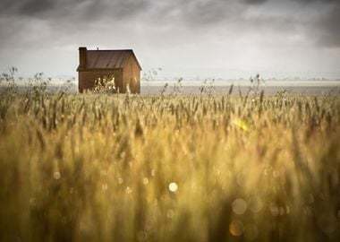 Abstract Agricultural Agri