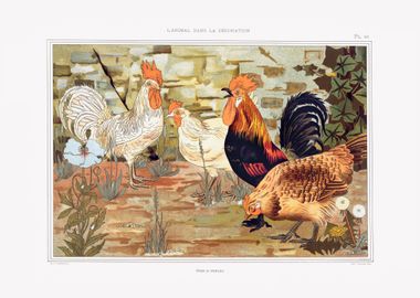 Roosters and hens