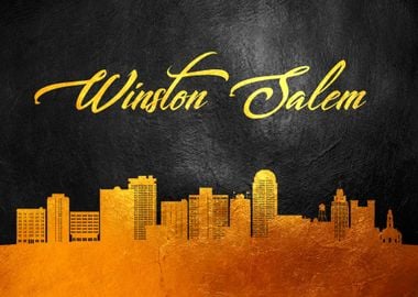 Winston Salem Skyline