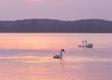 Nature Landscape Lake Twil