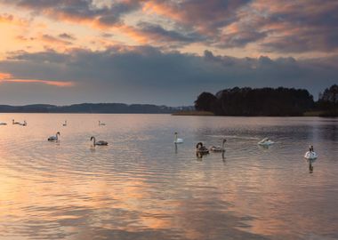 Nature Landscape Lake Twil