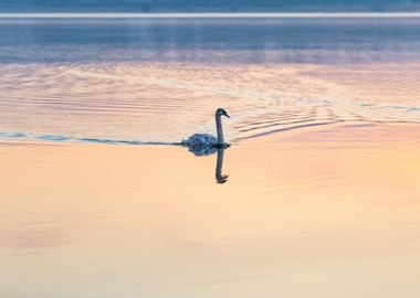 Sunrise Reflection Nature 