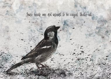 Bird Quotes