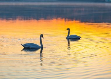 Sunrise Reflection Nature 